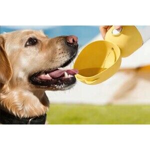 Portable water bottle with attached bowl for dogs